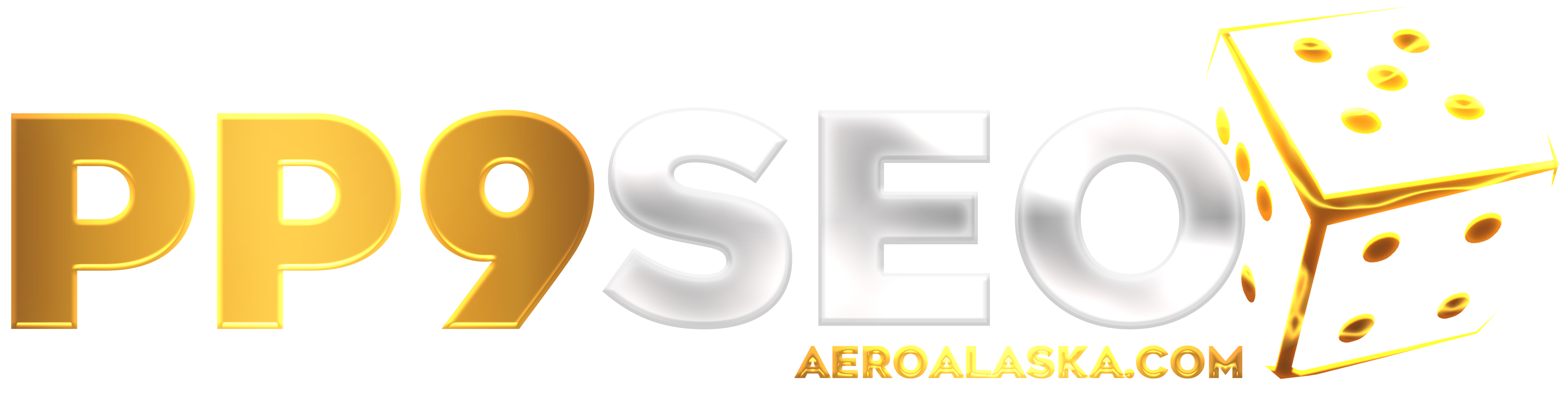PP9SEO site logo